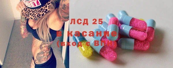 ешки Вяземский