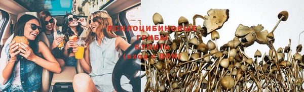 ешки Вяземский